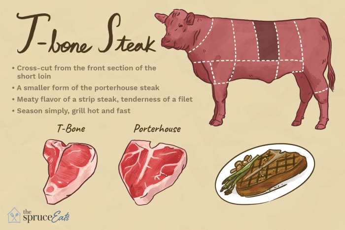 T bone steak cut diagram