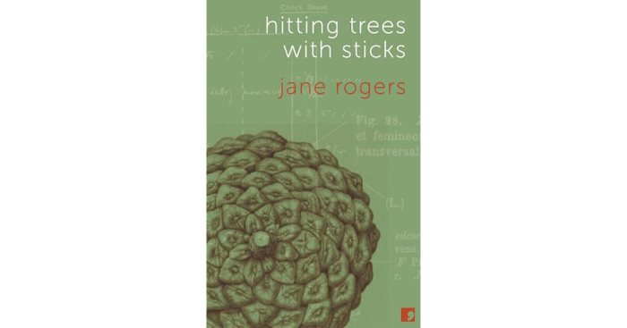 Hitting trees with sticks ap lit