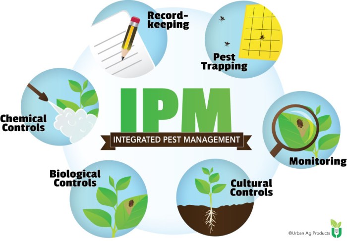 Ipm for the urban professional