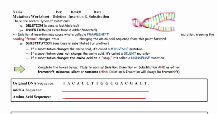 Gene and chromosome mutation worksheet