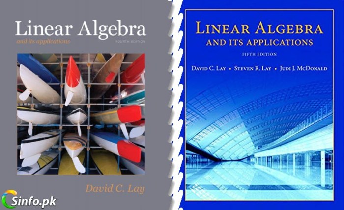 Linear algebra and its applications 6th edition solutions manual pdf