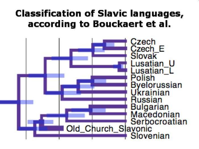 The slavic language of the crossword